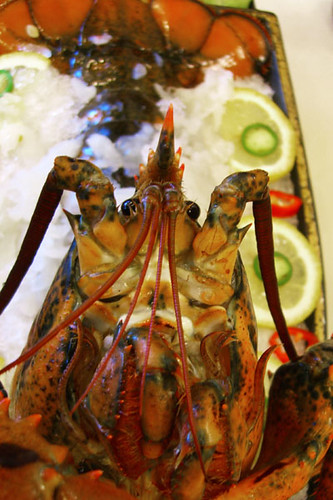 lobster sashimi