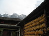 Naxi family guest house
