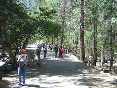 Yosemite - Close to Bridaveil Fall