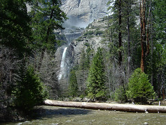 Yosemite - Creek & Fall