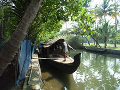 Backwater Tour near Cochin, Kerala