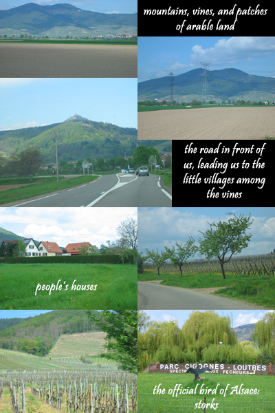 the road to alsace
