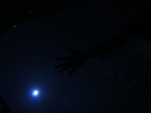 Seeking Blue Moon by [x]
