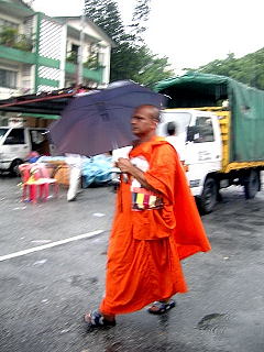 Buddhist monk in the rain