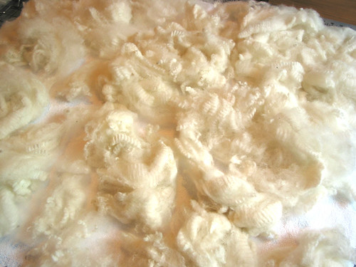 Washed Corriedale fleece