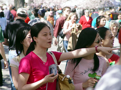 Tourists during Cherry Blossom time