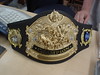 Elfsar Hero Clix Championship belt 2
