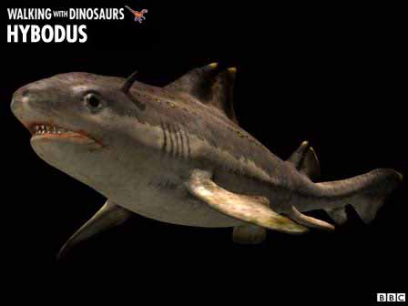 Devonian Period Sharks