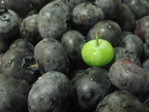 Greenberry among Blueberries