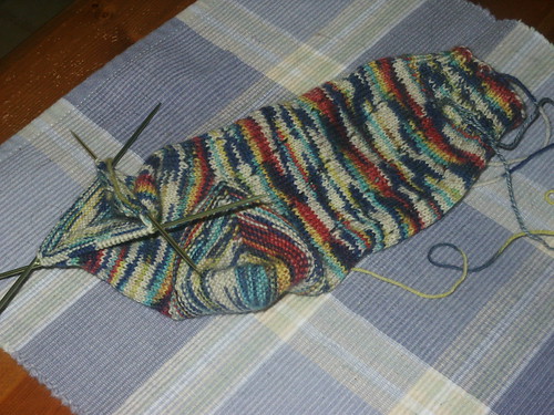 mata parrot sock in progress