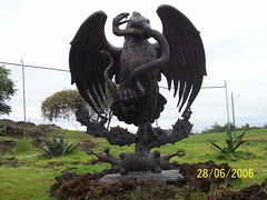 Mexican Eagle