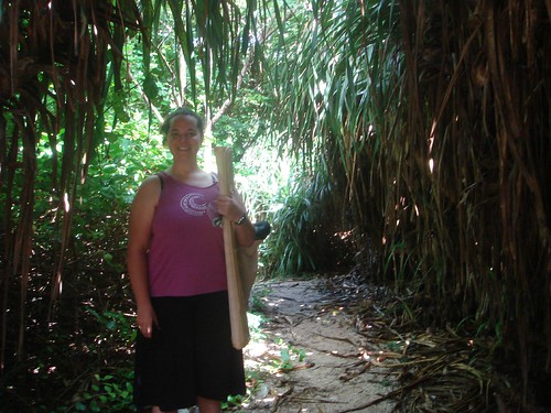 jungle path to snorkle cove