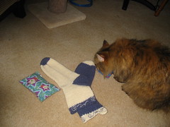 Vale approves the socks.