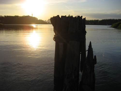 Sun, lake and some broken tree trunks
