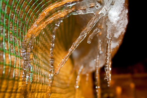 Icicles From The Small, Temporary, Plastic Greenhouse
