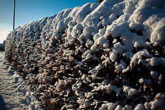 Keyingham under snow-0863