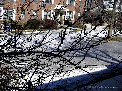 2011.2.15 Snow melted