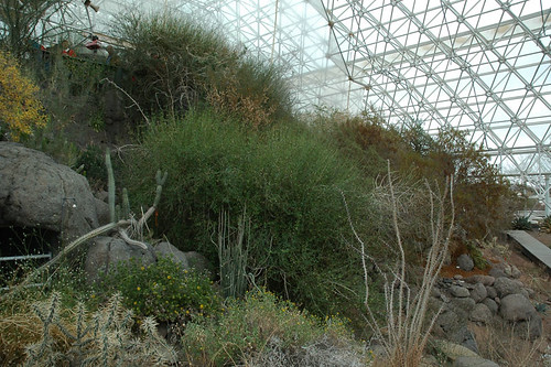 Biosphere 4