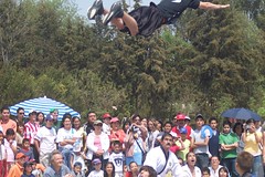 flying with crowd
