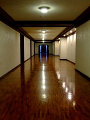 2006_0330 Speaker's Hallway