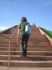 Stephanie climbing Monk's Mound
