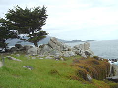 Pescadero Point