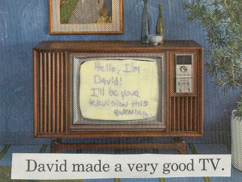 david made a very good tv