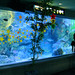 Ikebukuro - Sunshine City Aquarium