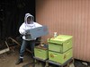 Beekeeping 2006 063