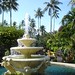 Tropical fountain