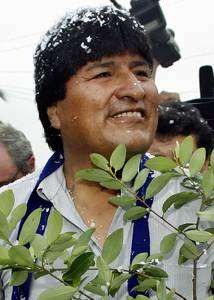 Evo Morales, candidato presidencial del Movimiento al Socialismo (MAS), llevó una hoja de coca mientras se dirigía con sus simpatizantes a una casilla de votación, en La Paz