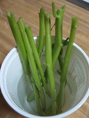 Kangkong (Water Spinach)