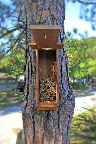 Two New Bird Houses