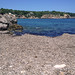Ibiza - Beach of dry seaweed
