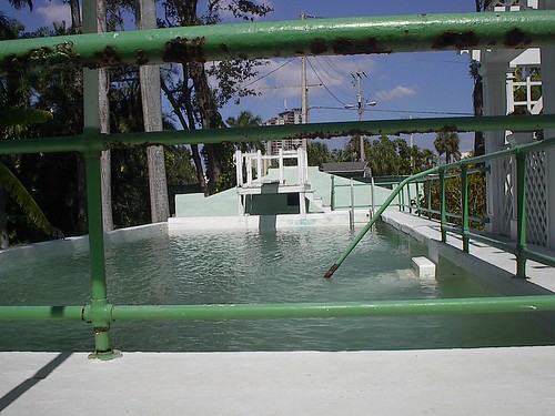 Edison's Pool