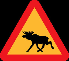 Swedish elk warning sign