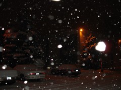 Snow (2)