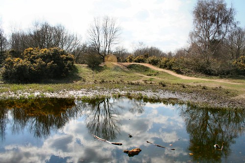 The Vinegar Pond, Mousehold Heath
