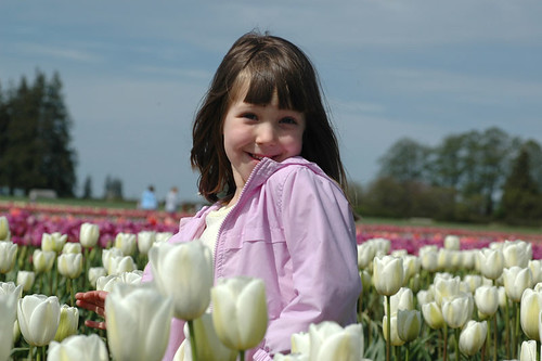 Katie & the Tulips