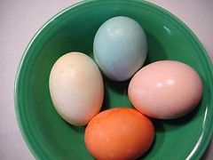 Last of the Colored Eggs