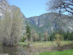Yosemite - Marsh and Mountains