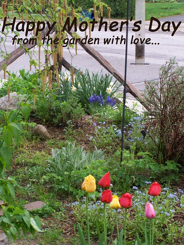 Mother's Day from the garden with love