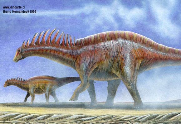 amargasaurus