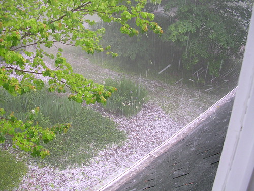 hail bouncing off the house