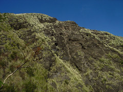 Crater cliff