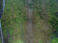 Waieleale Waterfalls