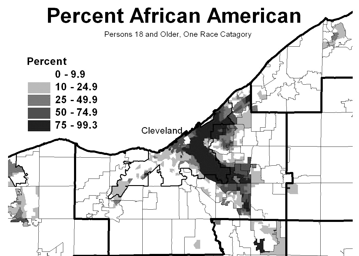 Percentage of African American Voters