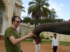 Tipping the elephant
