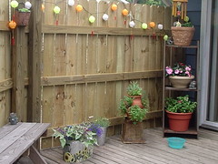 Old Deck, new fence