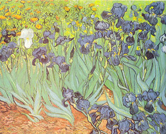 08 Lirios Van Gogh